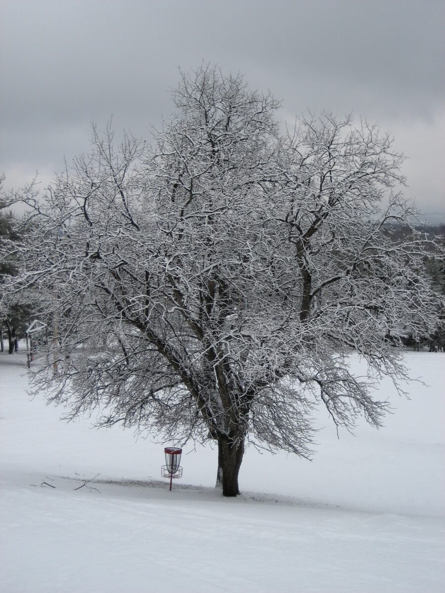 Camping hiver