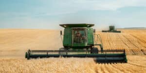 Pourquoi prêter attention au cours du blé tendre ?